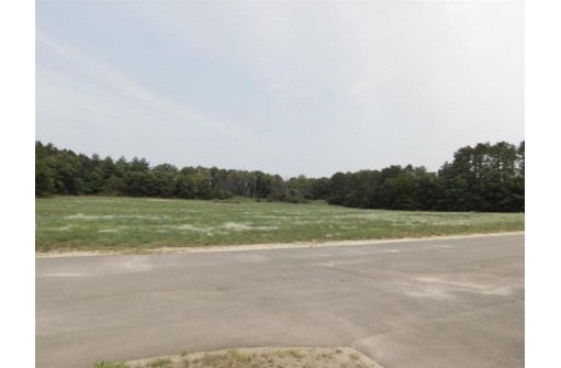 S12951 Shifflet Road 1003, Spring Green, WI 53588