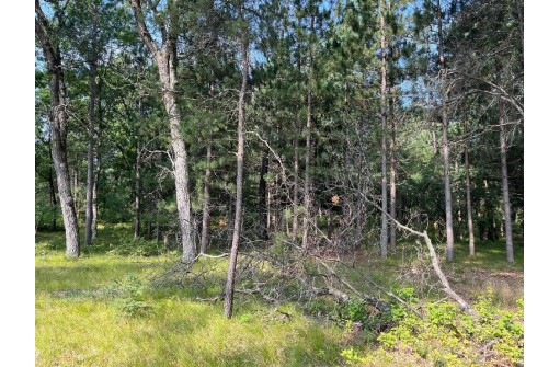 664 & 668 Meadow Lane, Nekoosa, WI 54457