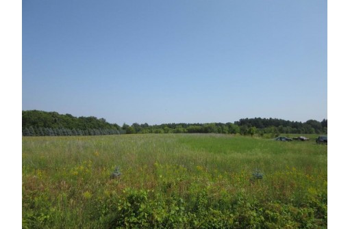 9.27 AC Domes Road, Rio, WI 53960