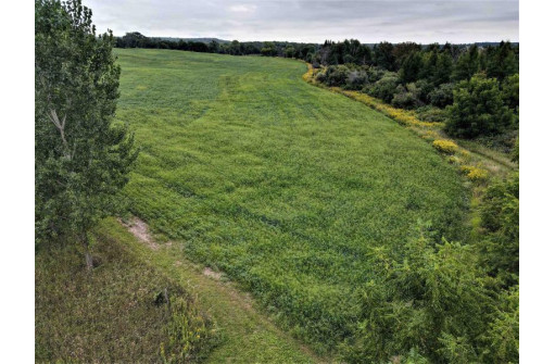 41.9 ACRES Bornick Road, Portage, WI 53901