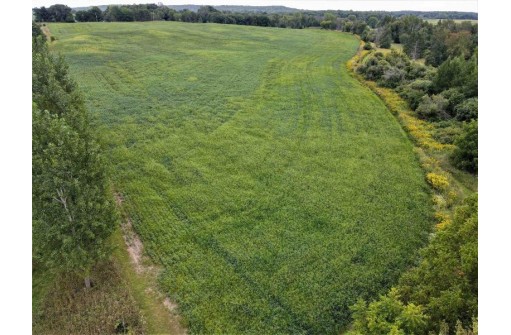 41.9 ACRES Bornick Road, Portage, WI 53901