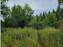 41.9 ACRES Bornick Road, Portage, WI 53901