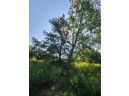 41.9 ACRES Bornick Road, Portage, WI 53901