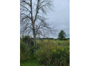 41.9 ACRES Bornick Road, Portage, WI 53901