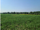 41.9 ACRES Bornick Road, Portage, WI 53901