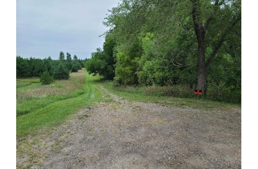 41.9 ACRES Bornick Road, Portage, WI 53901