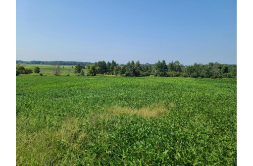 41.9 ACRES Bornick Road, Portage, WI 53901