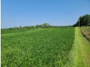 41.9 ACRES Bornick Road, Portage, WI 53901