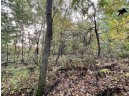 LOT 1 Burr Oak Lane, Monticello, WI 53570