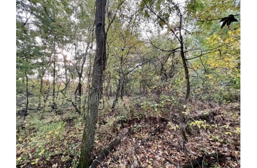 LOT 1 Burr Oak Lane, Monticello, WI 53570