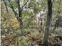 LOT 1 Burr Oak Lane, Monticello, WI 53570