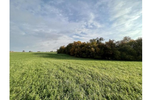 LOT 1 Burr Oak Lane, Monticello, WI 53570