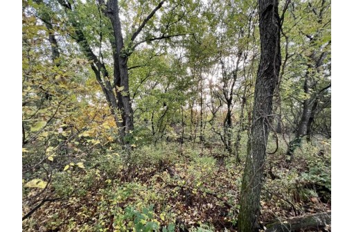 LOT 3 Burr Oak Lane, Monticello, WI 53570