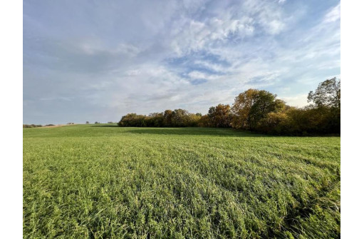 LOT 3 Burr Oak Lane, Monticello, WI 53570