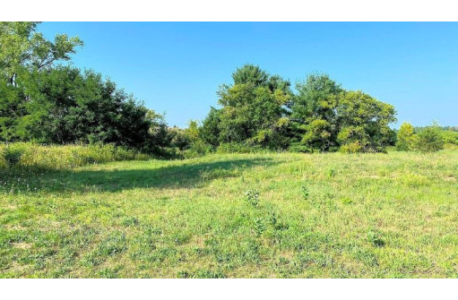 LOT 2 Chula Vista Parkway, Wisconsin Dells, WI 53965