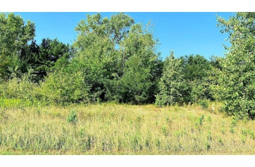 LOT 2 Chula Vista Parkway, Wisconsin Dells, WI 53965