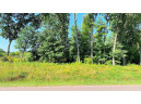 LOT 5 Hwy 13 Parkway, Wisconsin Dells, WI 53965