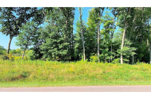 LOT 5 Hwy 13 Parkway, Wisconsin Dells, WI 53965