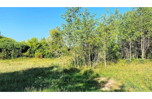 LOT 2 Chula Vista Parkway, Wisconsin Dells, WI 53965