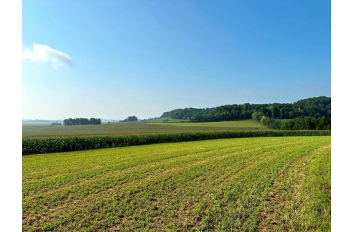 62.00AC County Road E, Muscoda, WI 53573