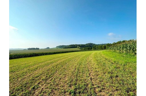 62.00AC County Road E, Muscoda, WI 53573