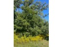 LOT 1 County Road H, Mount Horeb, WI 53572