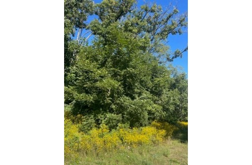 LOT 1 County Road H, Mount Horeb, WI 53572