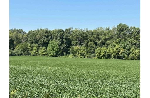 137 ACRES Starr School Road, Stoughton, WI 53589