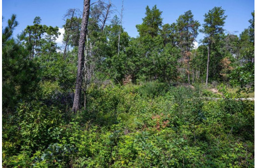 N8275 Woodland Trail, New Lisbon, WI 53950