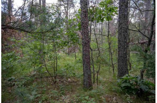 N8275 Woodland Trail, New Lisbon, WI 53950