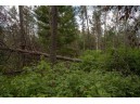 N8275 Woodland Trail, New Lisbon, WI 53950