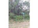 LOT 21 N Duck Creek Court, Adams, WI 53910