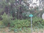 LOT 21 N Duck Creek Court Adams, WI 53910