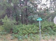 LOT 21 N Duck Creek Court