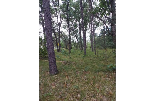 LOT 21 N Duck Creek Court, Adams, WI 53910