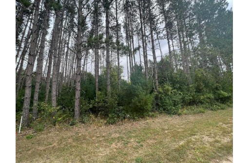 LOT 8 W 10th Drive, Friendship, WI 53934