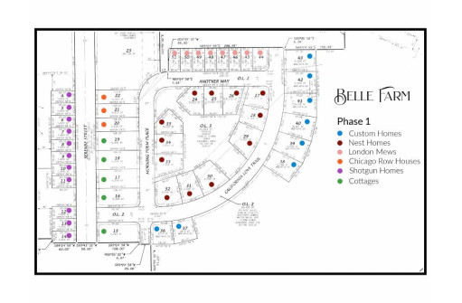 PHASE 1 LOTS Belle Farm, Middleton, WI 53562