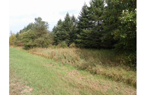 56.67 AC N County Road M, Montello, WI 53949