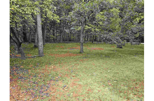 LOT 13 2nd Court, Oxford, WI 53952