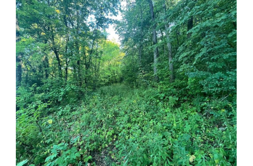 13.55AC Great River Road, De Soto, WI 54624