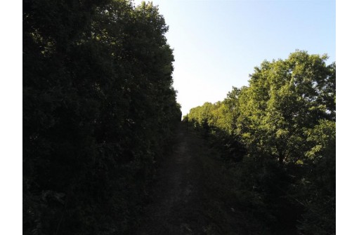 13.55AC Great River Road, De Soto, WI 54624