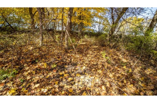 +/-70 ACRES Bee Lane, Lancaster, WI 53813