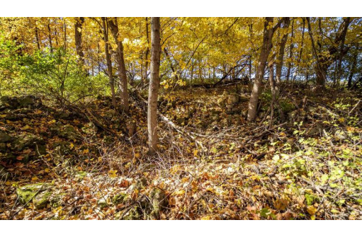 +/-70 ACRES Bee Lane, Lancaster, WI 53813