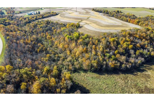 +/-70 ACRES Bee Lane, Lancaster, WI 53813