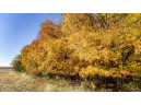 +/-70 ACRES Bee Lane, Lancaster, WI 53813