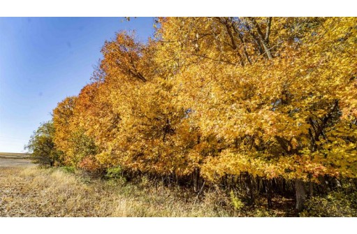 +/-70 ACRES Bee Lane, Lancaster, WI 53813