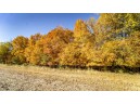 +/-70 ACRES Bee Lane, Lancaster, WI 53813