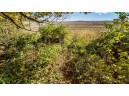 +/-70 ACRES Bee Lane, Lancaster, WI 53813