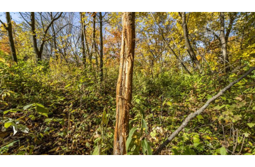 +/-70 ACRES Bee Lane, Lancaster, WI 53813