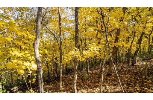 +/-70 ACRES Bee Lane, Lancaster, WI 53813